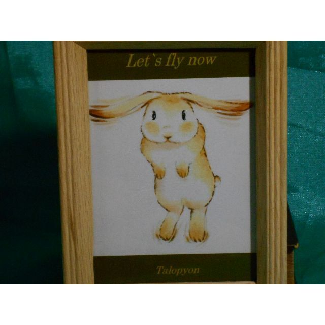原画　送料無料「人生にはカッパ　懐に優しさを」　ウサギのタロピョン