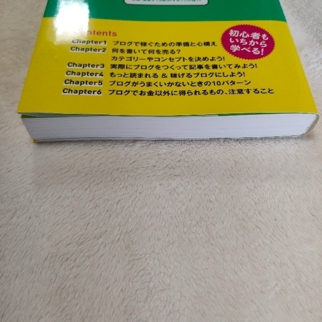 アフィリエイトで夢を叶えた元ＯＬブロガーが教える本気で稼げるアフィリエイトブログ エンタメ/ホビーの本(その他)の商品写真