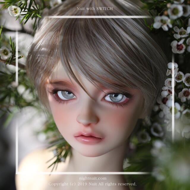 switch ドール rusi ヘッド - coastalcareeracademy.com