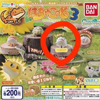 バンダイ(BANDAI)のはちゅこっと3 フトアゴヒゲトカゲ　白(その他)