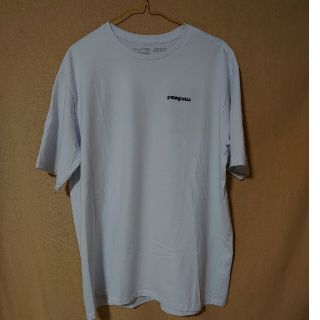 パタゴニア(patagonia)のpatagonia(Tシャツ/カットソー(半袖/袖なし))