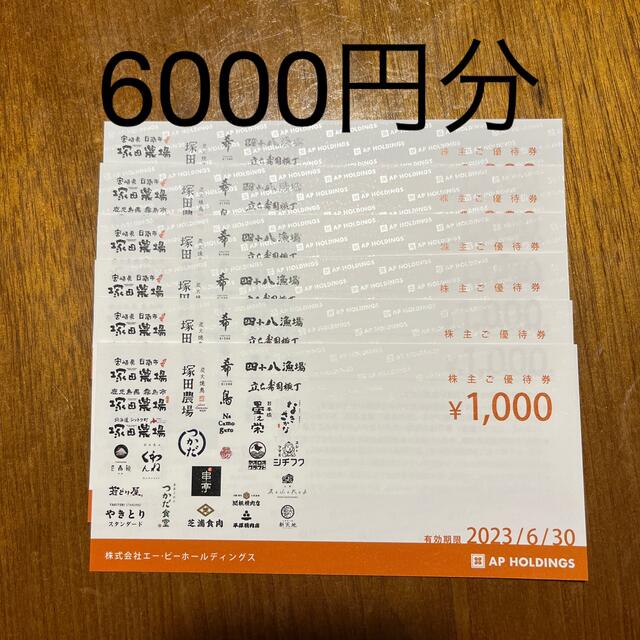 エーピーホールディングス 株主優待 6000円分