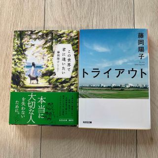 この世界で君に逢いたい、トライアウト(文学/小説)