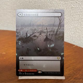 マジックザギャザリング(マジック：ザ・ギャザリング)のMTG 荒廃踏みの小道(シングルカード)