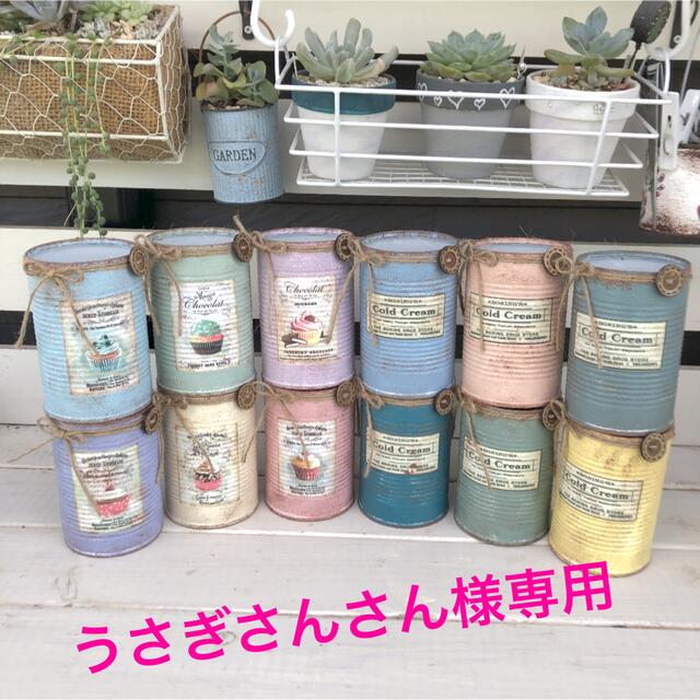 リメイク缶　多肉植物カット苗　専用