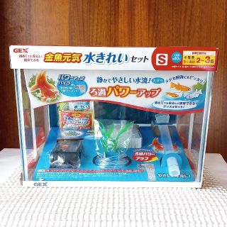ゾウリムシ 種水 1000ml エビオス錠em1 めだか卵 Psb の通販 By パールミント S Shop ラクマ ゾウリムシ 種水 1000ml エビオス錠em1 めだか卵 Psb の通販 By パールミント S Shop ラクマ