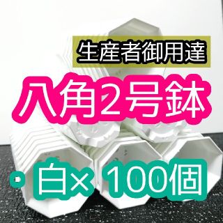 八角鉢 白 100個 2号 シャトル鉢 多肉植物 エケベリア ユーフォルビア(プランター)