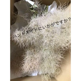 匿名配送❤︎スモークツリー　ドライ　約98㎝サイズのリサイクル段ボールに入るだけ(ドライフラワー)