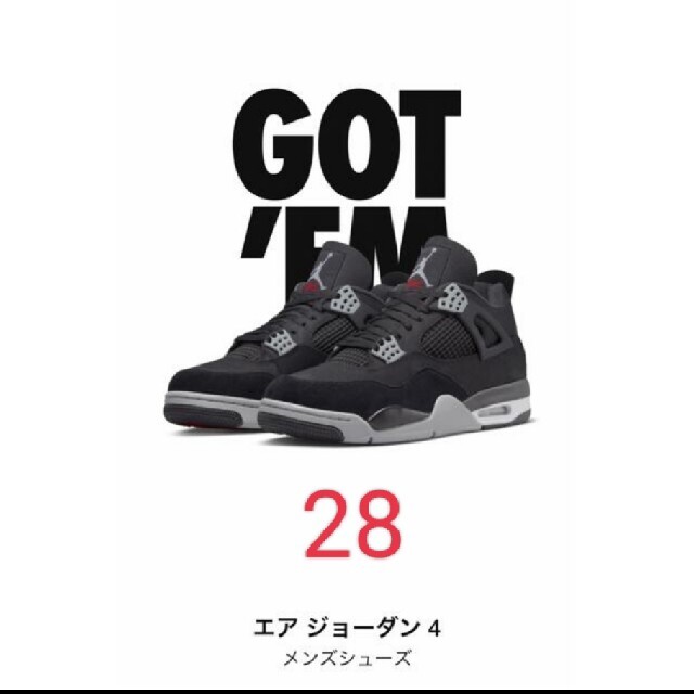 Air Jordan 4 SE "Black and Light Steel"