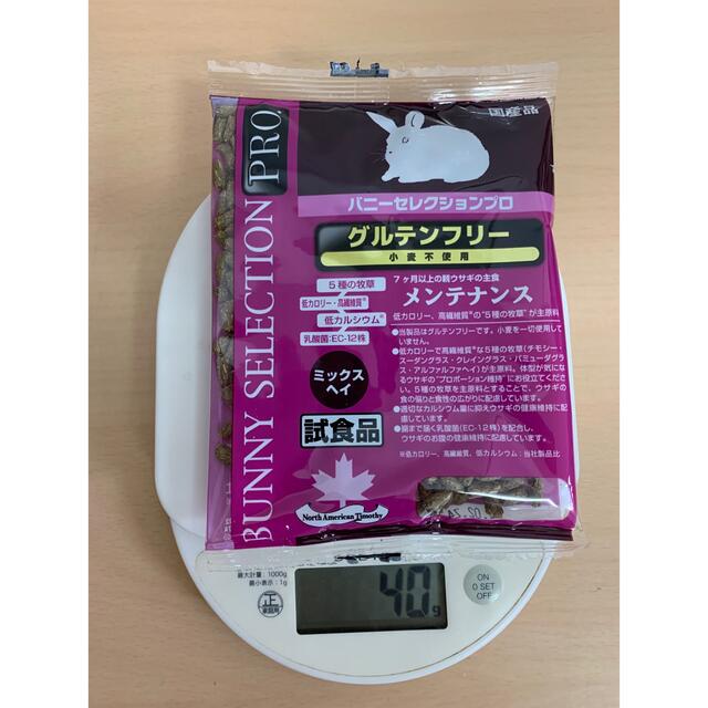 バニーセレクションプロメンテナンス1kg　＋おやつ3つ