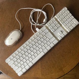 Apple Keyboard + Pro Mouse 中古(PC周辺機器)