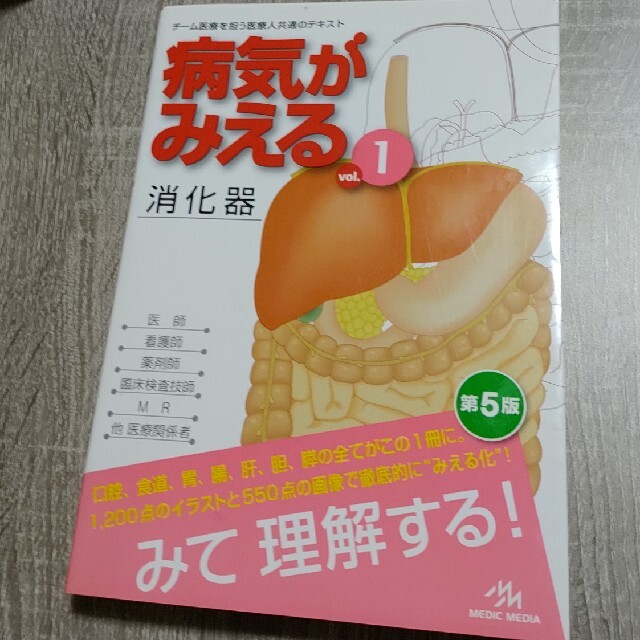 病気がみえる」チーム医療を担う医療人共通のテキスト vol 1–10 - 健康 ...