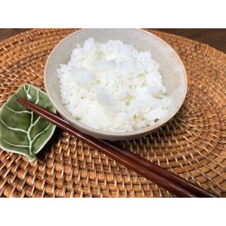 新米　丹波産コシヒカリ　白米5キロ(米/穀物)