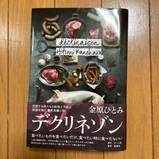 デクリネゾン　金原ひとみ(文学/小説)