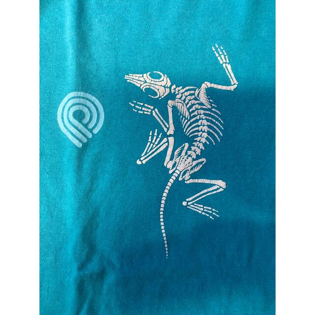 POWELL - 80'S 当時物 POWELL リザードボーンTシャツ ヴィンテージ USA POWELL - 80'S 当時物 POWELL リザードボーンTシャツ ヴィンテージ USA