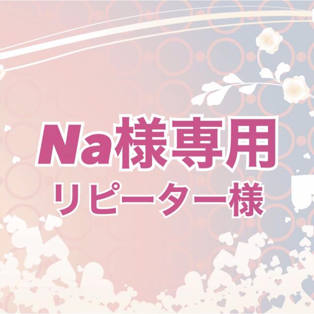 ☆Na様専用☆ ☆Na様専用☆