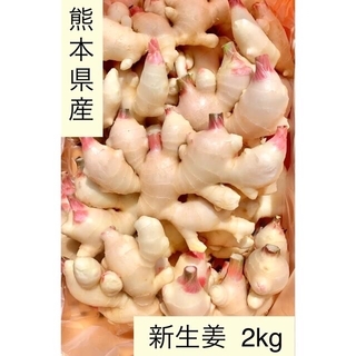熊本県産　新生姜　2kg(野菜)