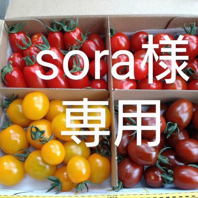 北海道産　ミニトマト食べ比べセット