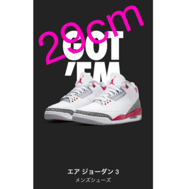 Nike Air Jordan 3 OG "Fire Red"  29㎝