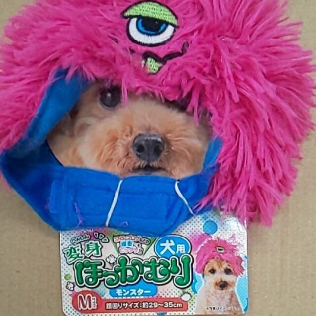 ペティオ 犬用品 犬用 変身ほっかむり かぶりもの モンスター Mサイズ その他のペット用品(犬)の商品写真