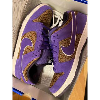 ナイキ(NIKE)のNIKE DUNK LOW PREMIUM SB BISON PURPLE 29(スニーカー)