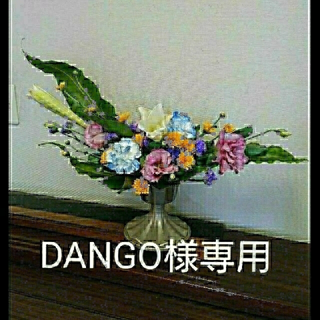 多肉植物カット苗⑰☆寄せ植え 多肉植物カット苗⑰☆寄せ植え