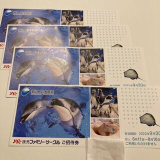 新江ノ島水族館　4枚　(水族館)