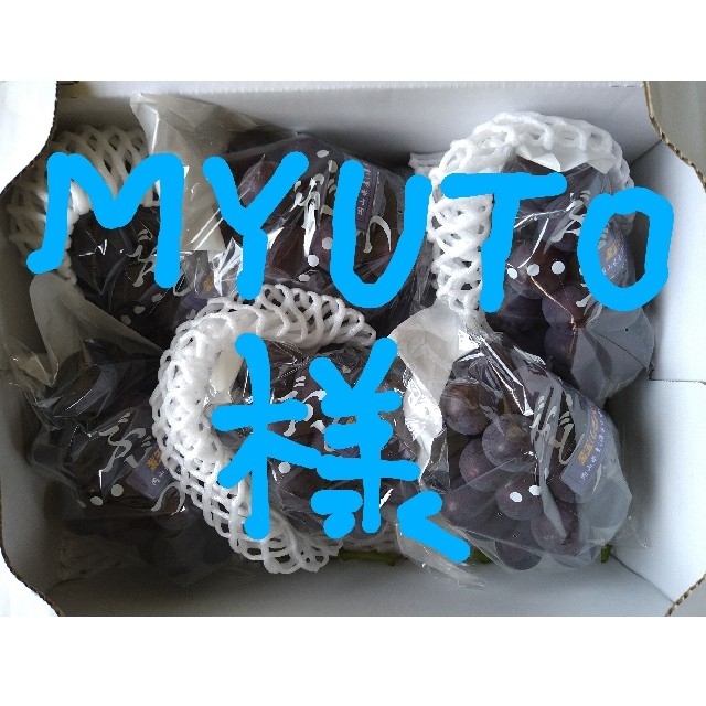 MYUTO様　専用　ブドウ　岡山県産　２k　１箱（５〜６房入） 食品/飲料/酒の食品(フルーツ)の商品写真