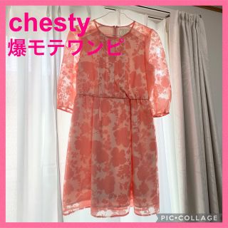 チェスティ(Chesty)のフラワーオーガンジーワンピース 結婚式二次会パーティーchesty チェスティ(ひざ丈ワンピース)