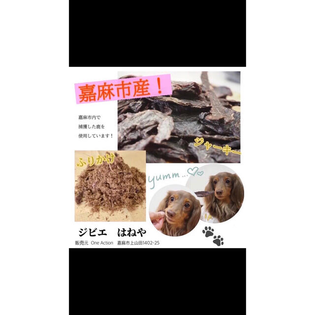 鹿肉ジャーキー　300g その他のペット用品(ペットフード)の商品写真