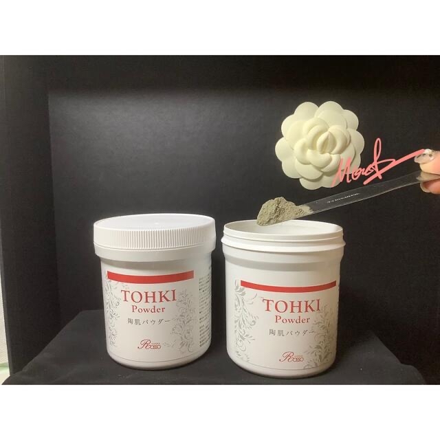 REVI ルヴィ 陶肌パウダー 100g | gulatilaw.com