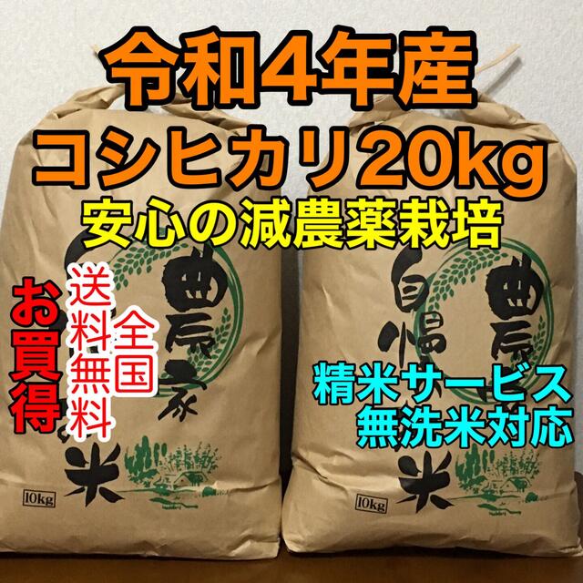 減農薬栽培新米コシヒカリ　精米20キロ