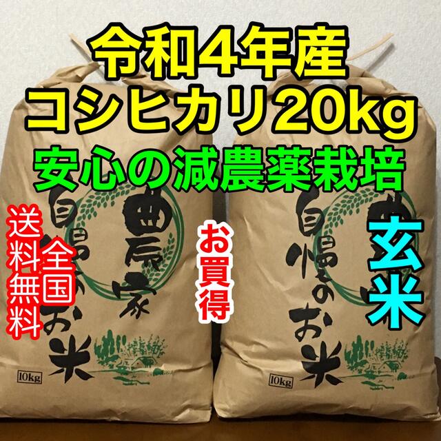 茨城産コシヒカリ20kg????玄米　新米　米/穀物