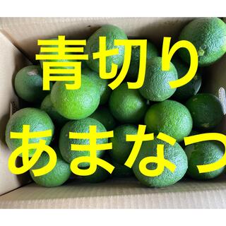 青切り甘夏　2.5キロキロ(フルーツ)