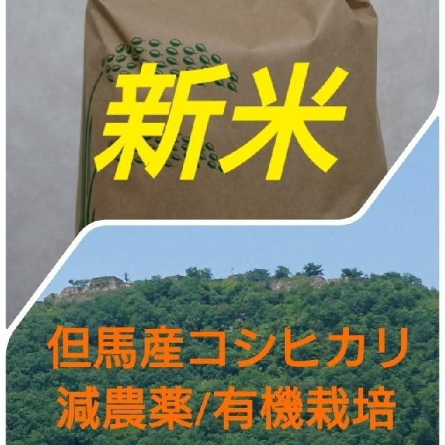コシヒカリ新米9キロ（無洗米）