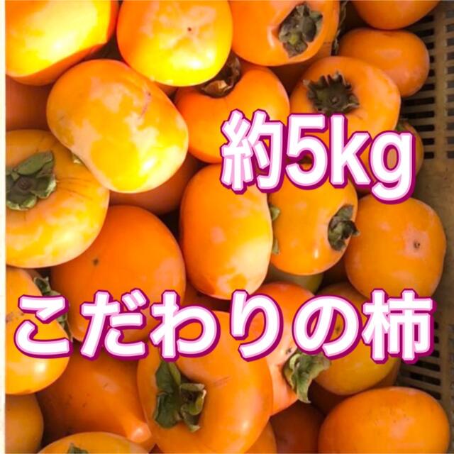 柿 刀根早生 約5kg ハネダシ品 即日発送！