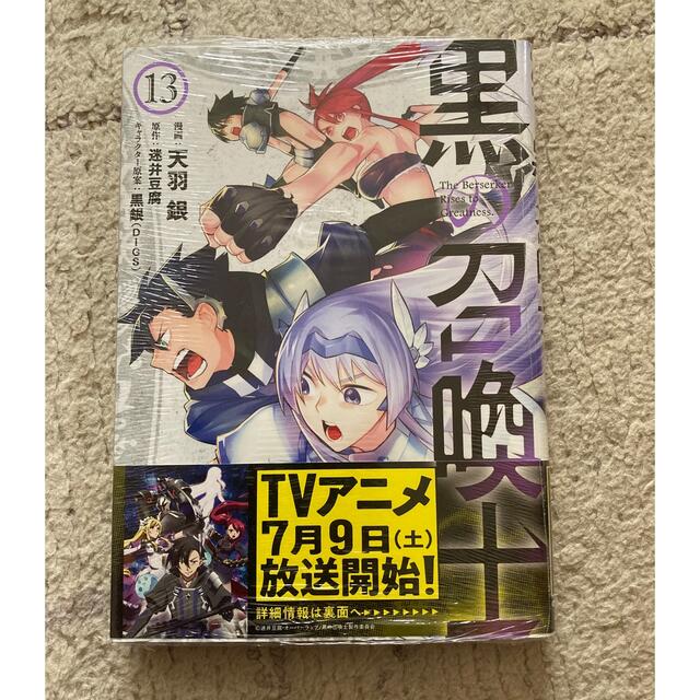 黒の召喚士 １３未使用品 エンタメ/ホビーの漫画(青年漫画)の商品写真