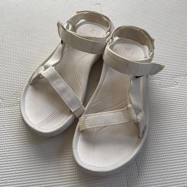 Teva(テバ)のテバ　サンダル　白　25㎝ メンズの靴/シューズ(サンダル)の商品写真