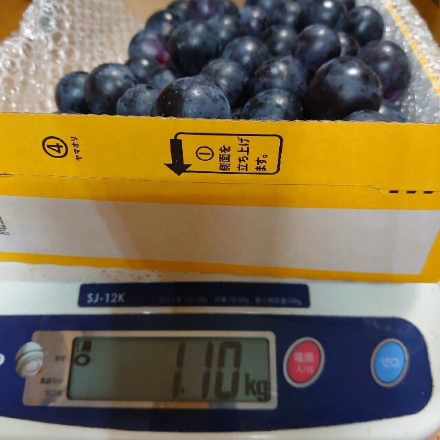 ナガノパープル 家庭用4kg