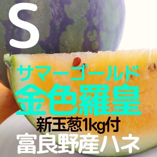 富良野産 スイカ 西瓜 金色羅皇 サマーゴールド S1玉 玉葱付 家庭用 食品/飲料/酒の食品(フルーツ)の商品写真