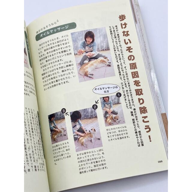 老犬生活完全ガイド エンタメ/ホビーの本(住まい/暮らし/子育て)の商品写真