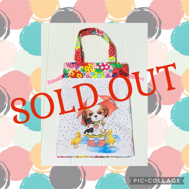 SALE❣️☆ コヤンイサムチョン アンコ 縦長 巾着トートバッグ