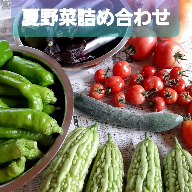 訳あり ☆夏野菜詰め合わせ☆ お野菜セット ゆうパック 80サイズ 食品/飲料/酒の食品(野菜)の商品写真