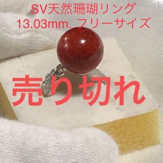 SV天然珊瑚丸珠リング　13.03mm  フリーサイズ(リング(指輪))