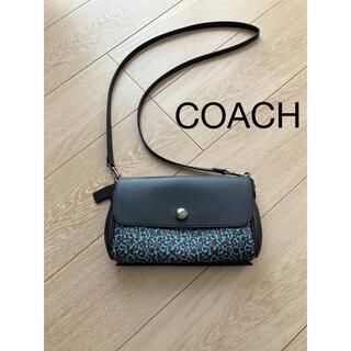 ナイトセール❤︎新品未使用廃盤品❤︎COACH 肉厚レザーショルダー　ダヌーブ型