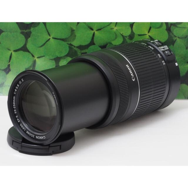 美品】キャノン♪EF-S55-250mmISⅡ♪手ブレ補正イベントで大活躍 販売