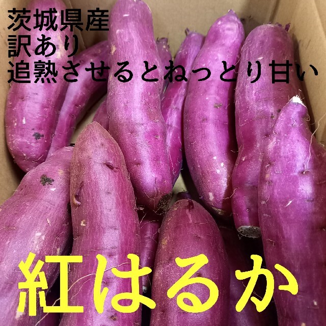 10キロ重量おまけ付新物サツマイモ紅はるかご家庭用S(2Sメイン)サイズ&訳あり