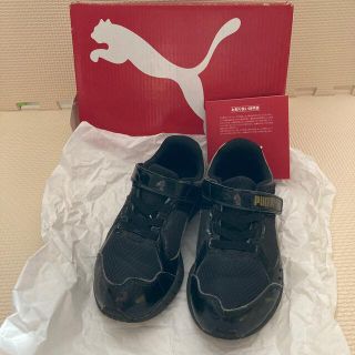 プーマ(PUMA)の☆プーマ　スニーカー　17.0(スニーカー)