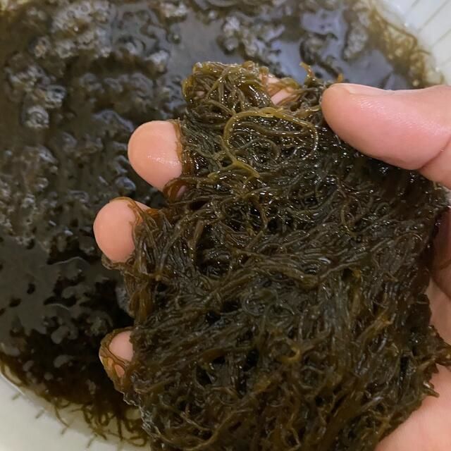 新物◎塩蔵 もずく 1kg 歯応え◎おつまみ 珍味 スルメ 好きに 食品/飲料/酒の食品(魚介)の商品写真