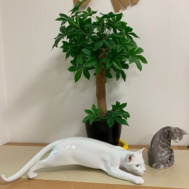 ロイヤルコペンハーゲン 白猫 | www.lapandilla.es